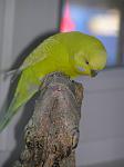 P6070008