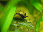 P7080014 resize