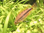 IMG 5392 1