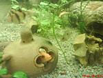 DSC00140