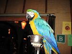 IMG 1085