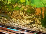 DSCN0272