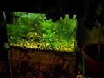 DSCN0182