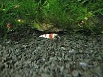 IMG 5399