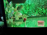 IMG 2103