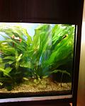Photo 0049