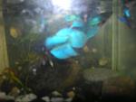 DSCN1357