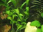 IMG 5562