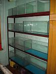 DSCN0729