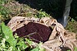 IMG 4913