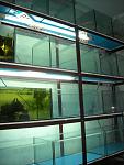 DSCN0741