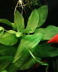 Photo 0067