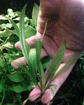 Photo 0075