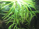 IMG 5583