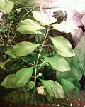 Photo 0070