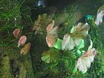 IMG 5584
