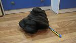 IMG 3117