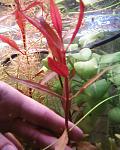 Photo 0042