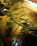 Photo 0074