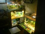 DSC00960
