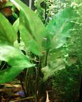 Photo 0066