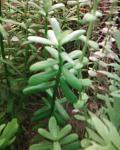 Photo 0036