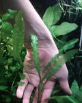 Photo 0078