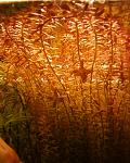 Photo 0041