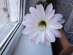 DSCF0308