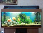 PIC 0287