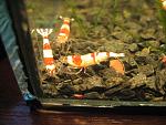 IMG 5681
