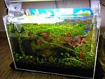 PIC 0295
