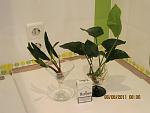 IMG 0905