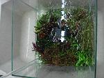 DSC04566