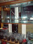 DSC02739