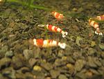 IMG 5683