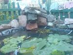DSC01000
