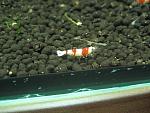 IMG 5761