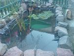 DSC01002