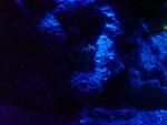 DSC00996