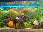 DSC00198
