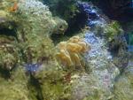 DSC00999