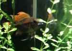 Photo 00471