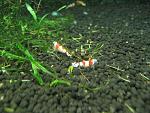 IMG 5757