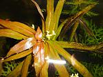 DSCN0356
