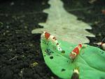 IMG 5759