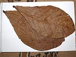 P9107043