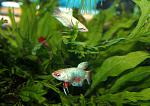 IMG 6880