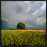 Nikon D700 + Nikkor 14 f2,8D 
iso200, 1/2000, f8