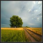Nikon D700 + Nikkor 14 f2,8D 
iso200, 1/1000, f8